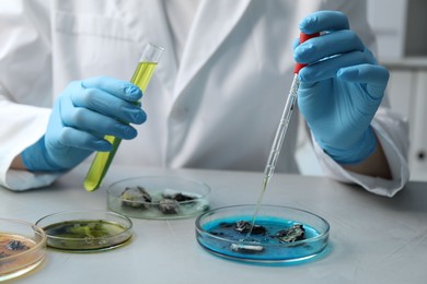 Photo of Laboratory worker with test tube dripping sample from pipette into petri dish at light table, closeup