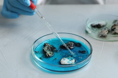 Photo of Laboratory worker dripping sample from pipette into petri dish at light table, closeup