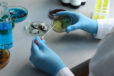 Photo of Laboratory worker dripping sample from pipette into petri dish at light table, closeup