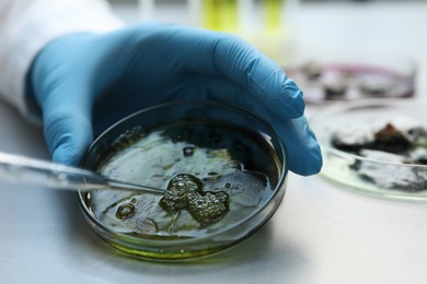 Photo of Laboratory worker dripping sample from pipette into petri dish at light table, closeup