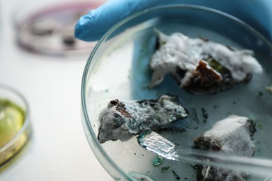 Photo of Laboratory worker researching sample in petri dish at light table, closeup