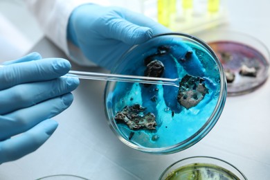 Photo of Laboratory worker researching sample in petri dish at light table, closeup