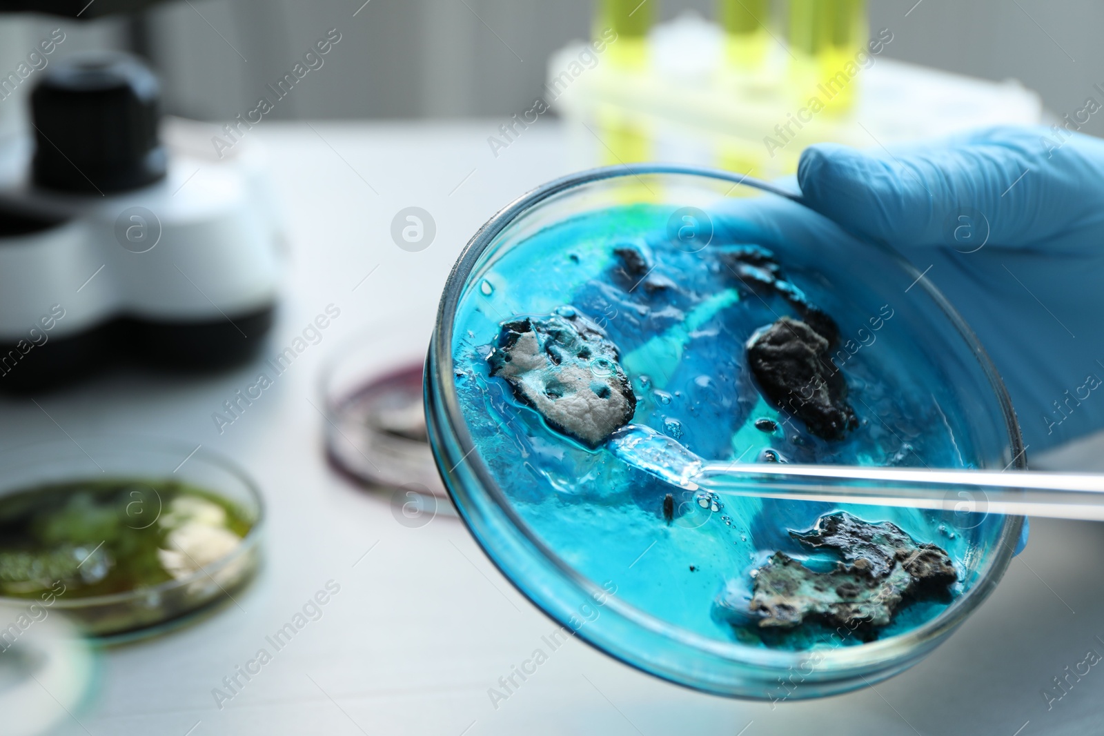 Photo of Laboratory worker researching sample in petri dish at light table, closeup