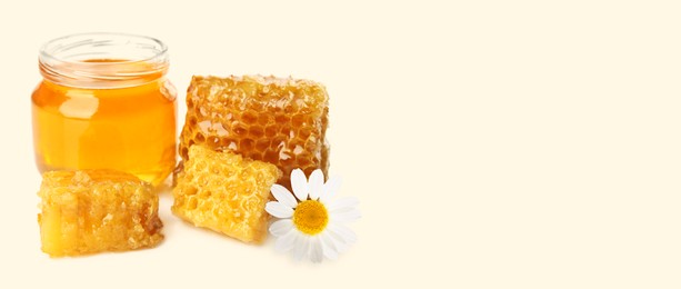 Image of Organic honey in glass jar and pieces of honeycomb on light background. Banner design with space for text