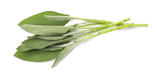 Photo of Leaves of fresh sage isolated on white, top view