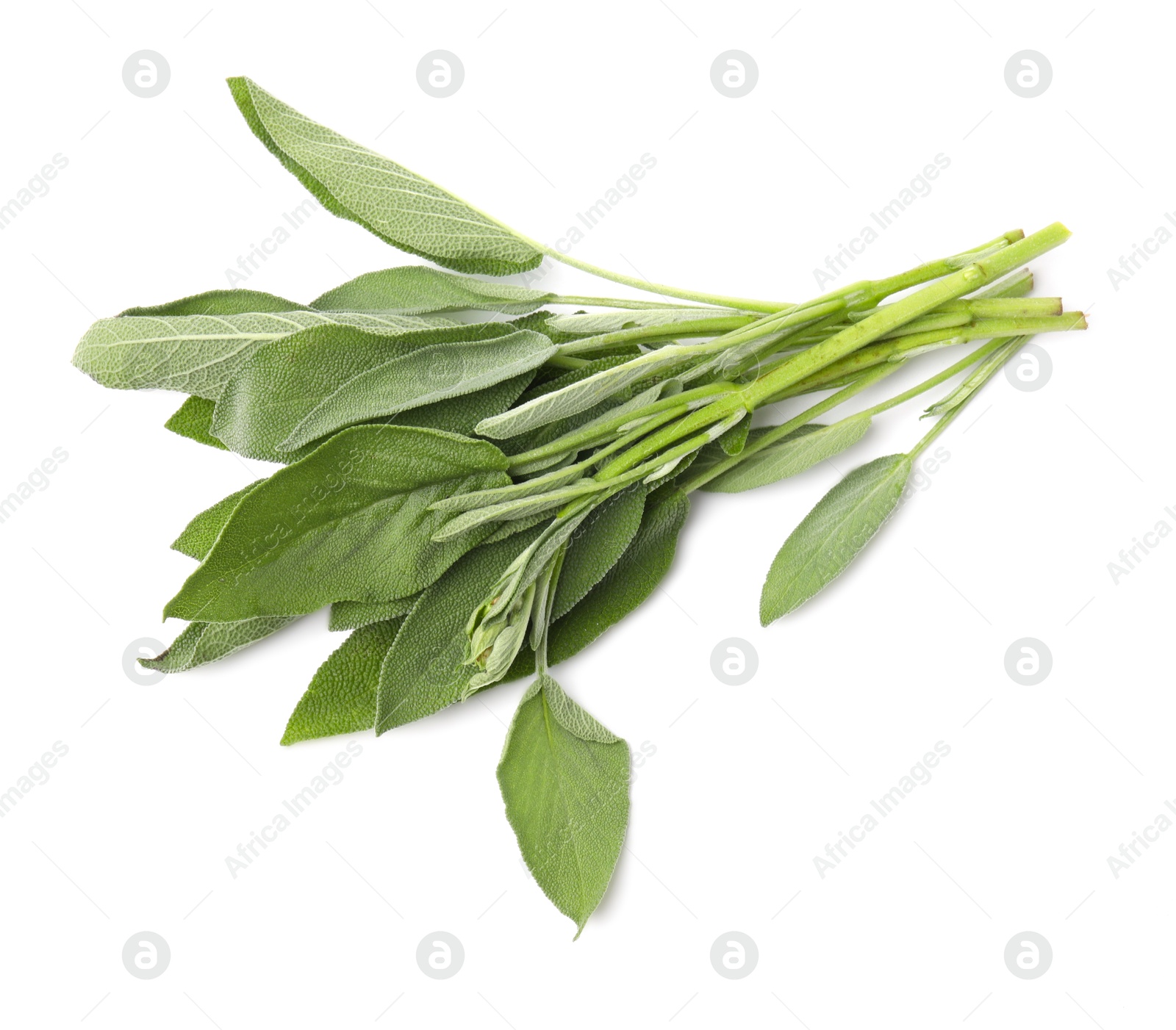 Photo of Leaves of fresh sage isolated on white, top view