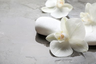 Spa stones and beautiful orchid flowers in water on grey textured surface, space for text