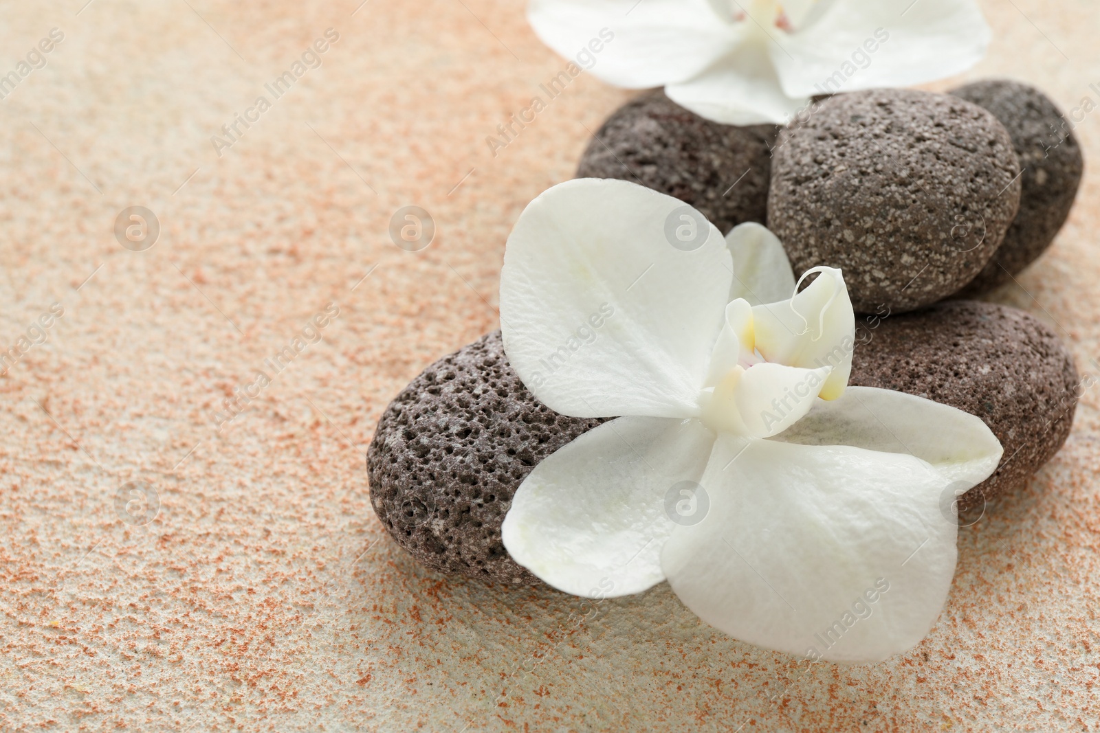 Photo of Spa stones and beautiful orchid flowers on beige textured background, closeup. Space for text