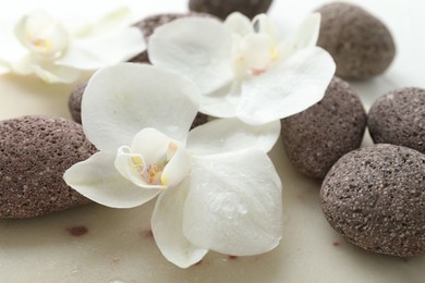 Spa stones and beautiful orchid flowers on white surface, closeup