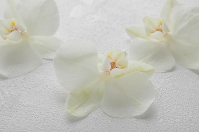 Photo of Beautiful orchid flowers on white textured surface, closeup