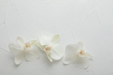 Photo of Beautiful orchid flowers on white textured background, flat lay