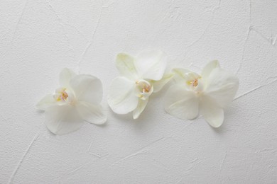 Beautiful orchid flowers on white textured background, flat lay