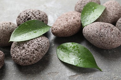 Wet spa stones and green leaves on grey textured surface