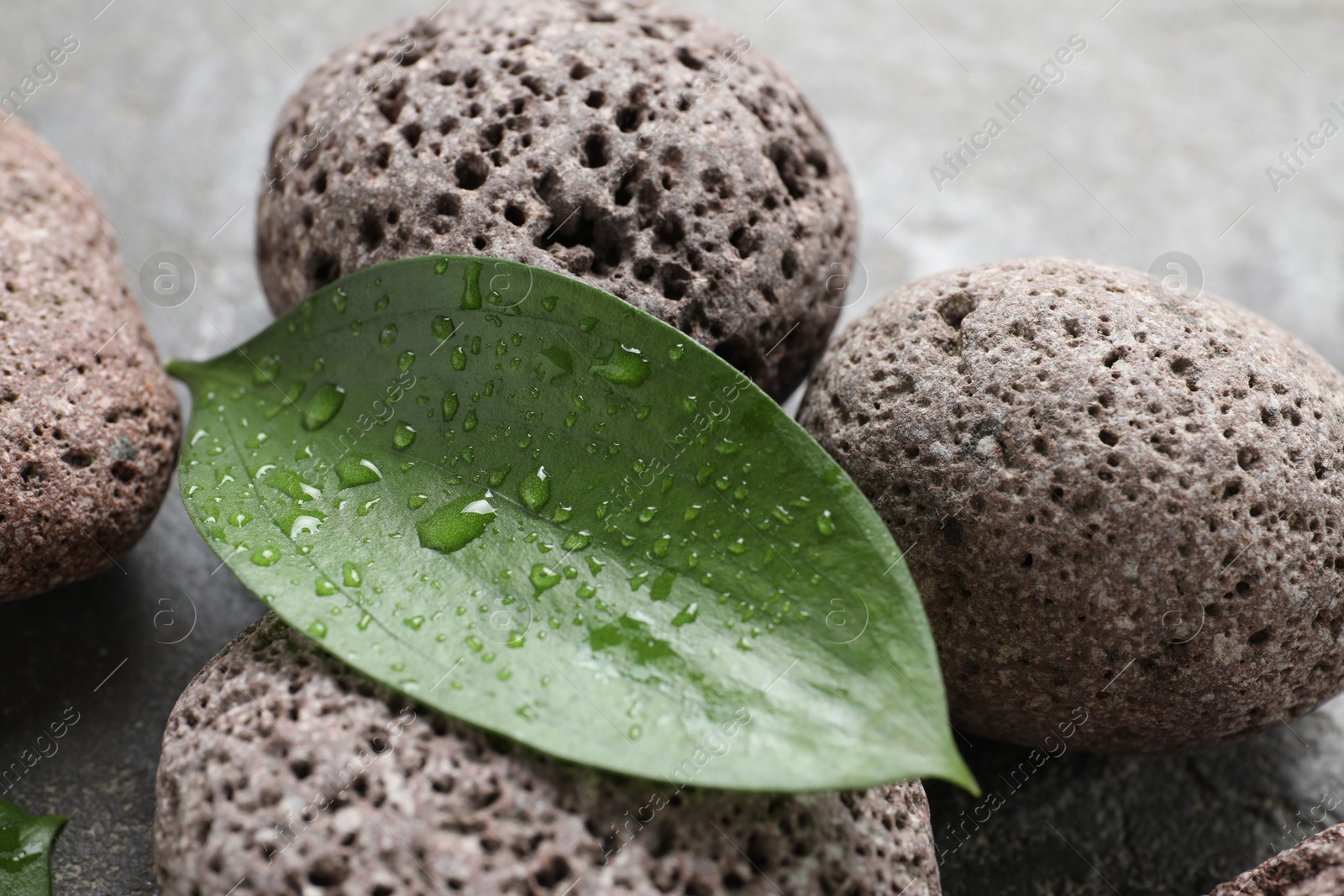 Photo of Wet spa stones and green leaves on grey surface, closeup