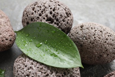 Wet spa stones and green leaves on grey surface, closeup