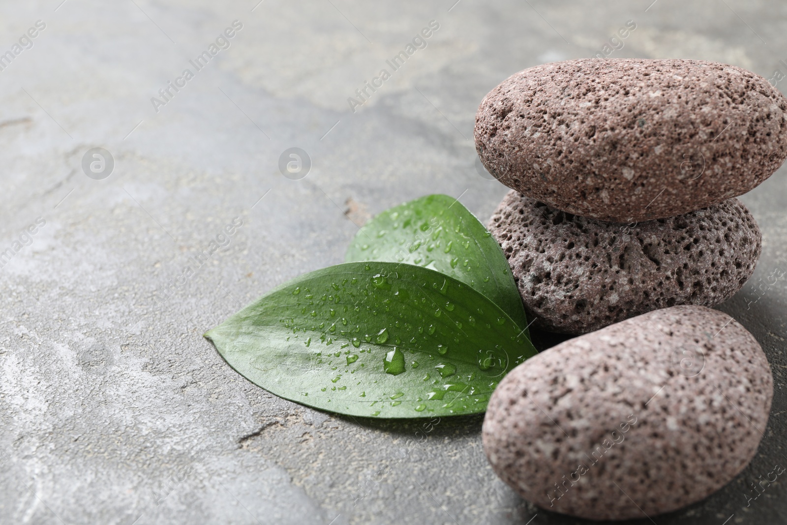 Photo of Wet spa stones and green leaves on grey textured surface. Space for text