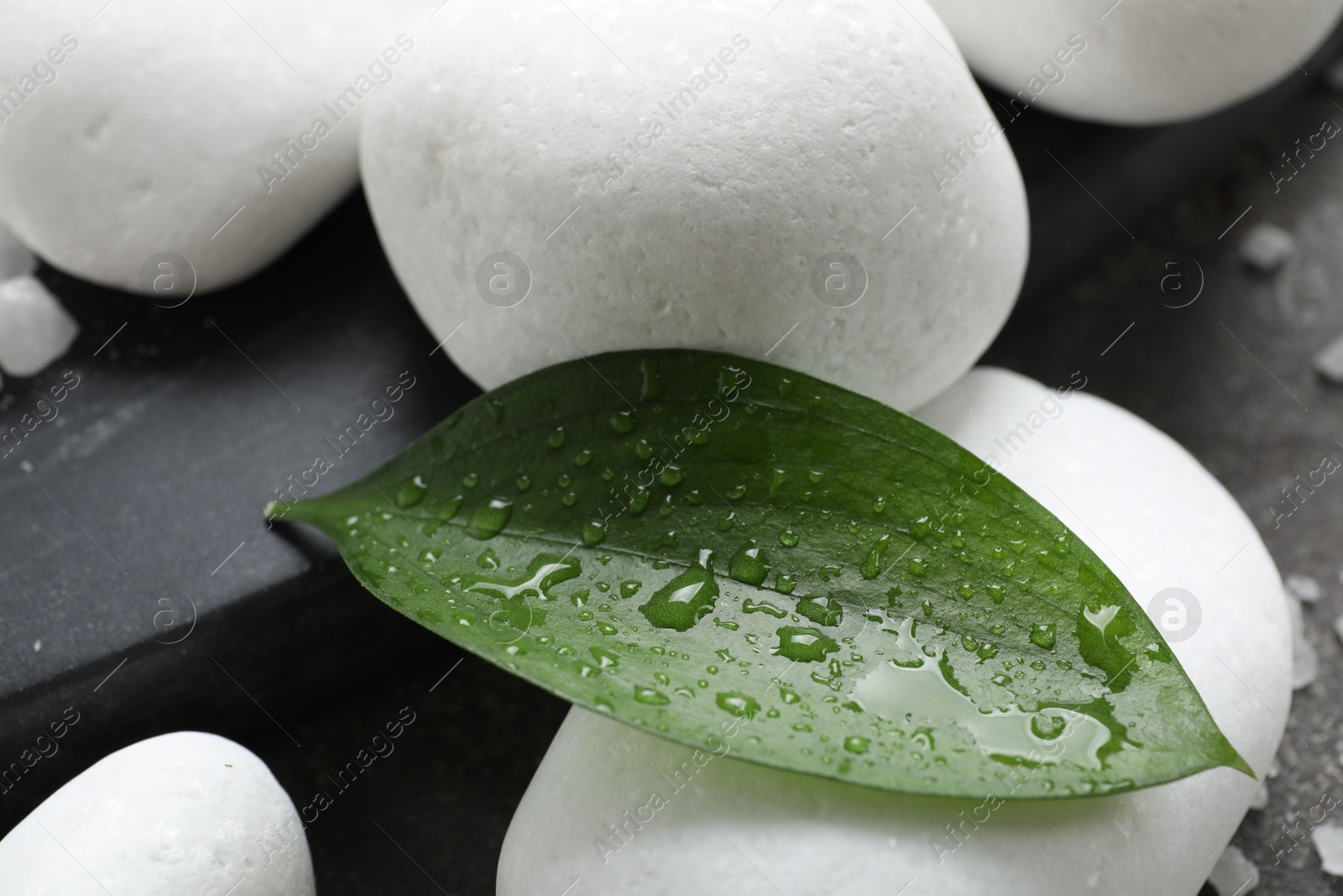 Photo of Wet spa stones, sea salt and green leaves on grey surface, closeup