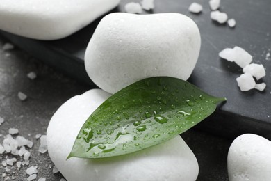 Wet spa stones, sea salt and green leaves on grey surface, closeup