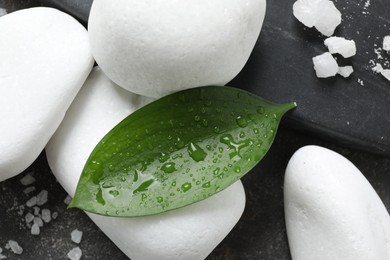 Wet spa stones, sea salt and green leaves on grey surface