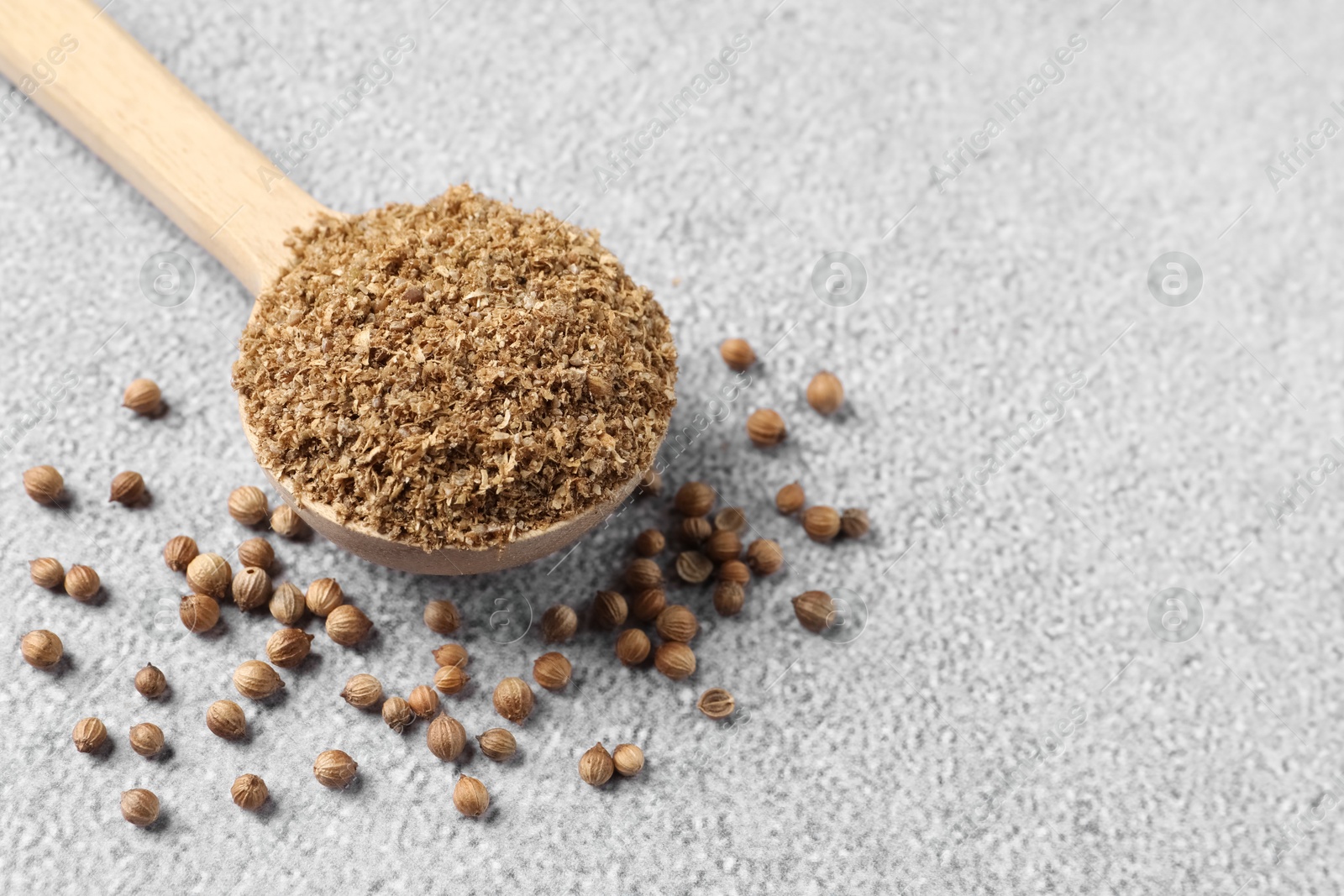 Photo of Coriander powder in spoon and seeds on grey table, space for text