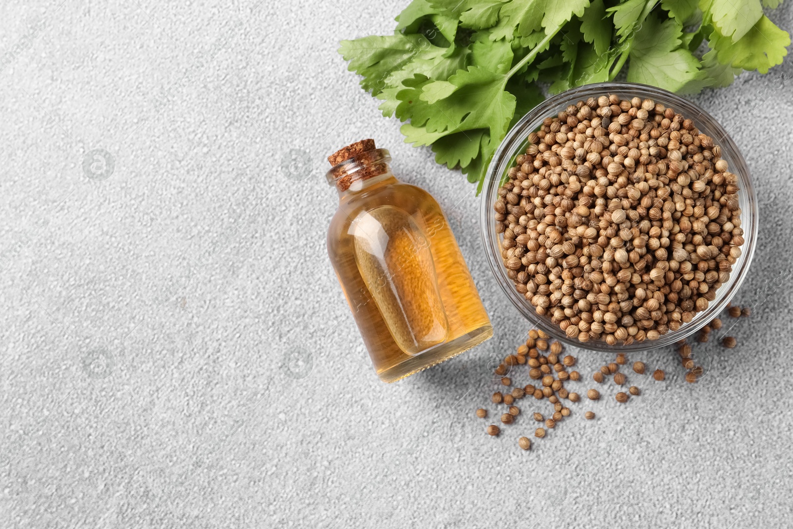 Photo of Coriander essential oil, seeds and green leaves on grey table, top view. Space for text