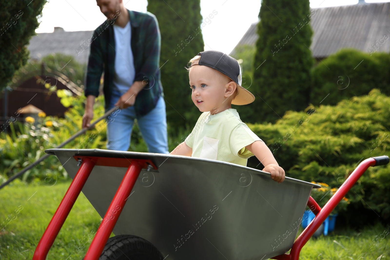 Photo of Cute little boy sitting in wheelbarrow his father with rake outdoors, selective focus