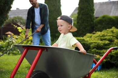 Photo of Cute little boy sitting in wheelbarrow his father with rake outdoors, selective focus
