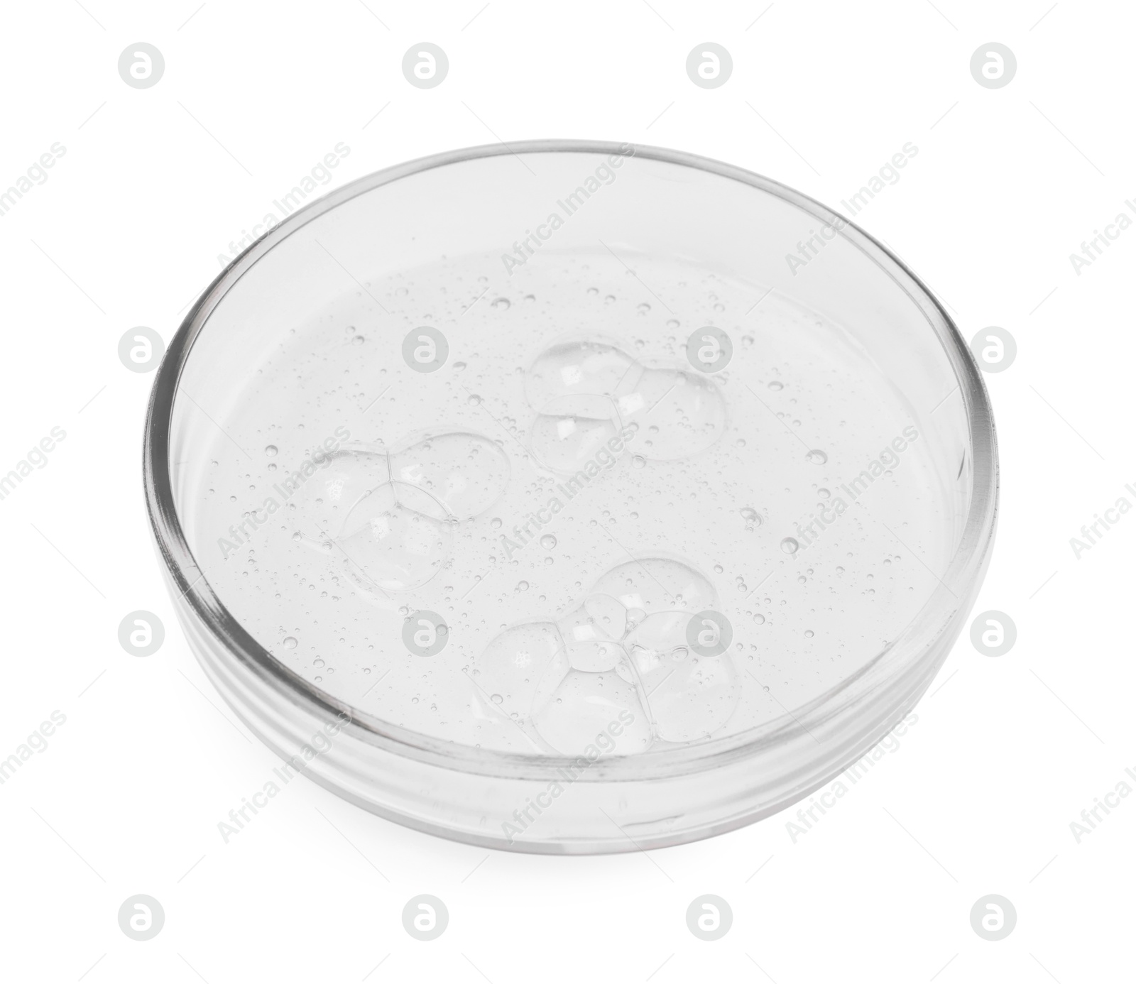 Photo of Petri dish with sample isolated on white