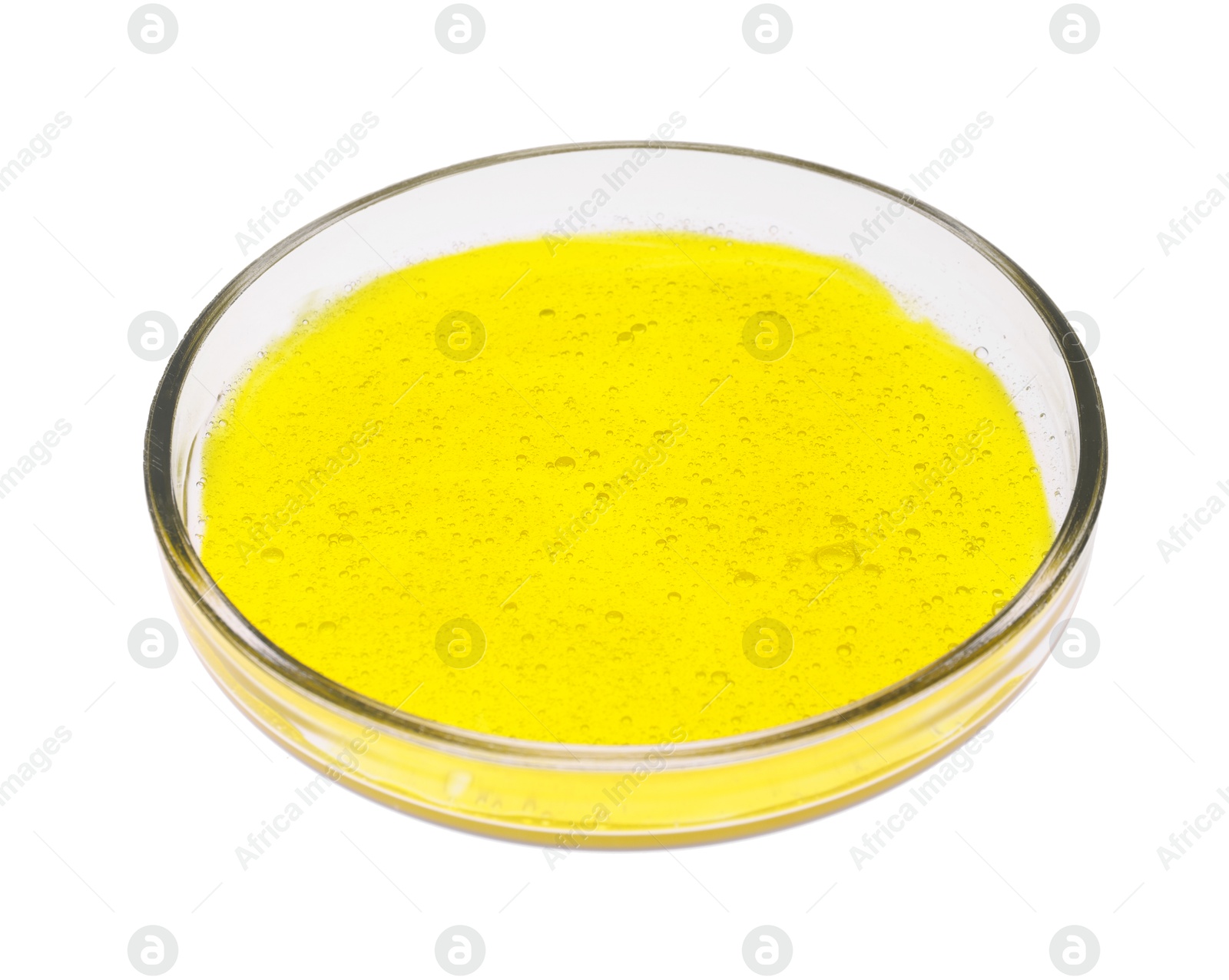 Photo of Petri dish with sample isolated on white