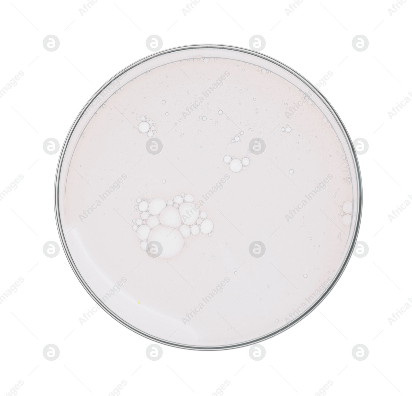 Photo of Petri dish with sample isolated on white, top view