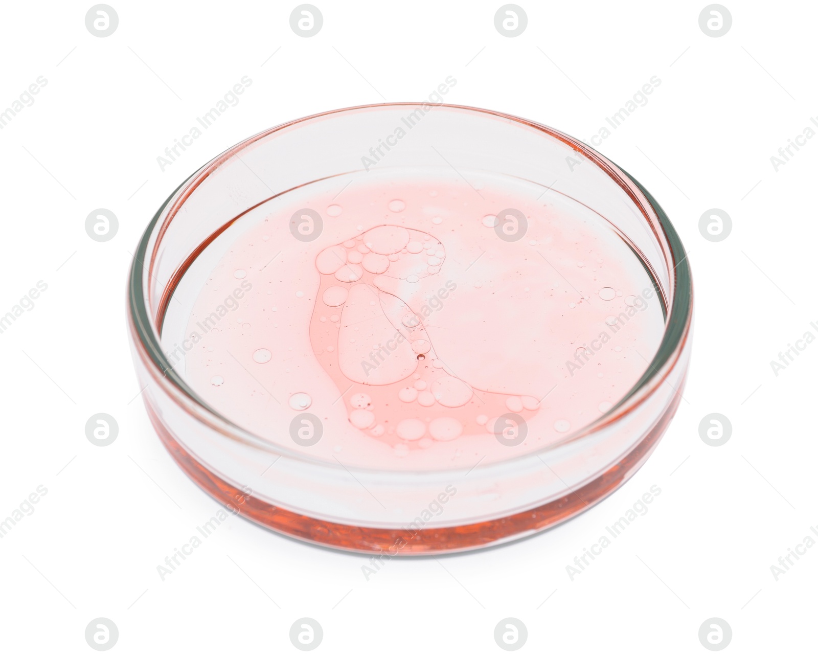 Photo of Petri dish with sample isolated on white