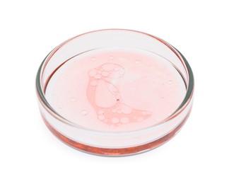 Photo of Petri dish with sample isolated on white