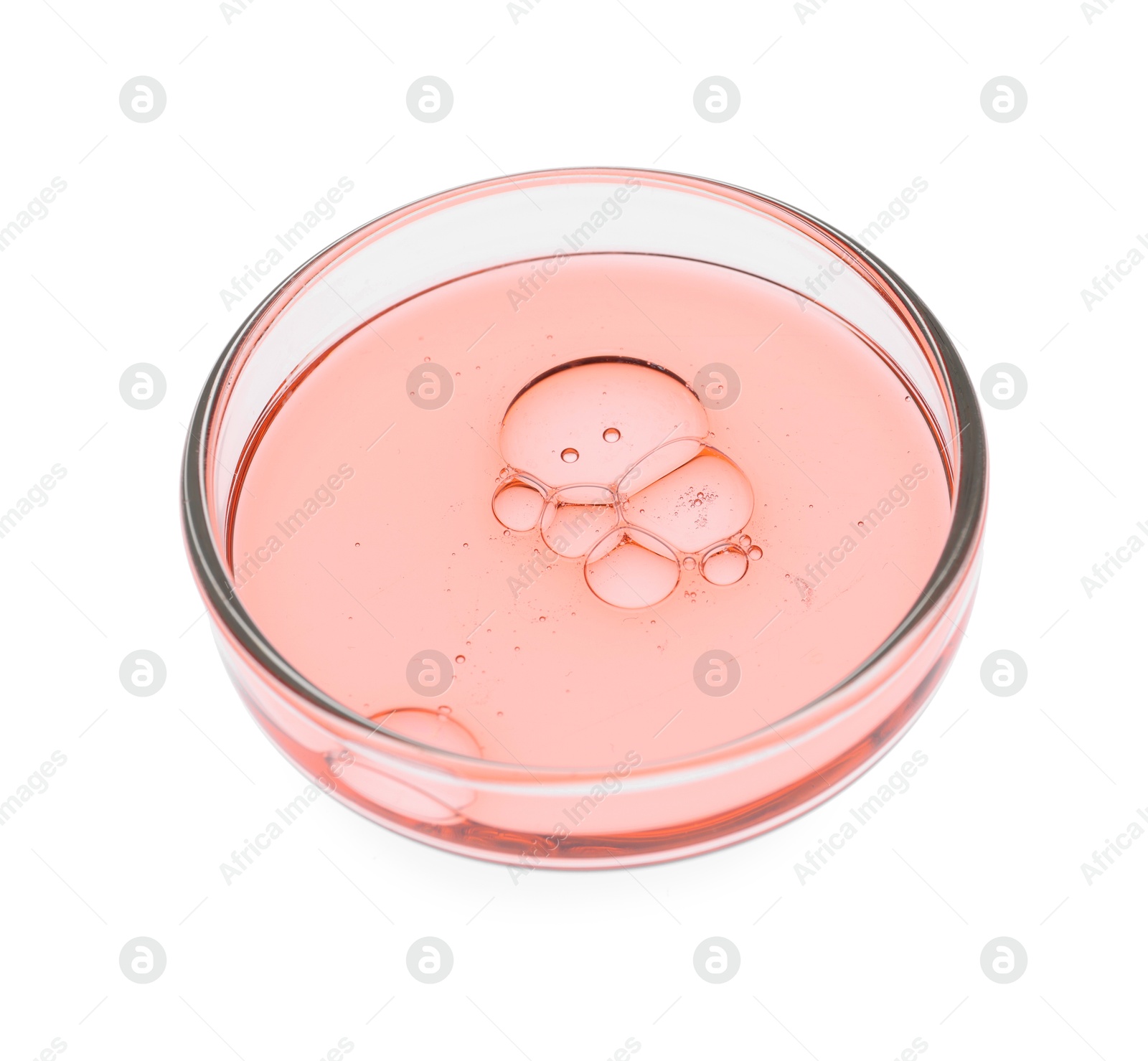 Photo of Petri dish with sample isolated on white