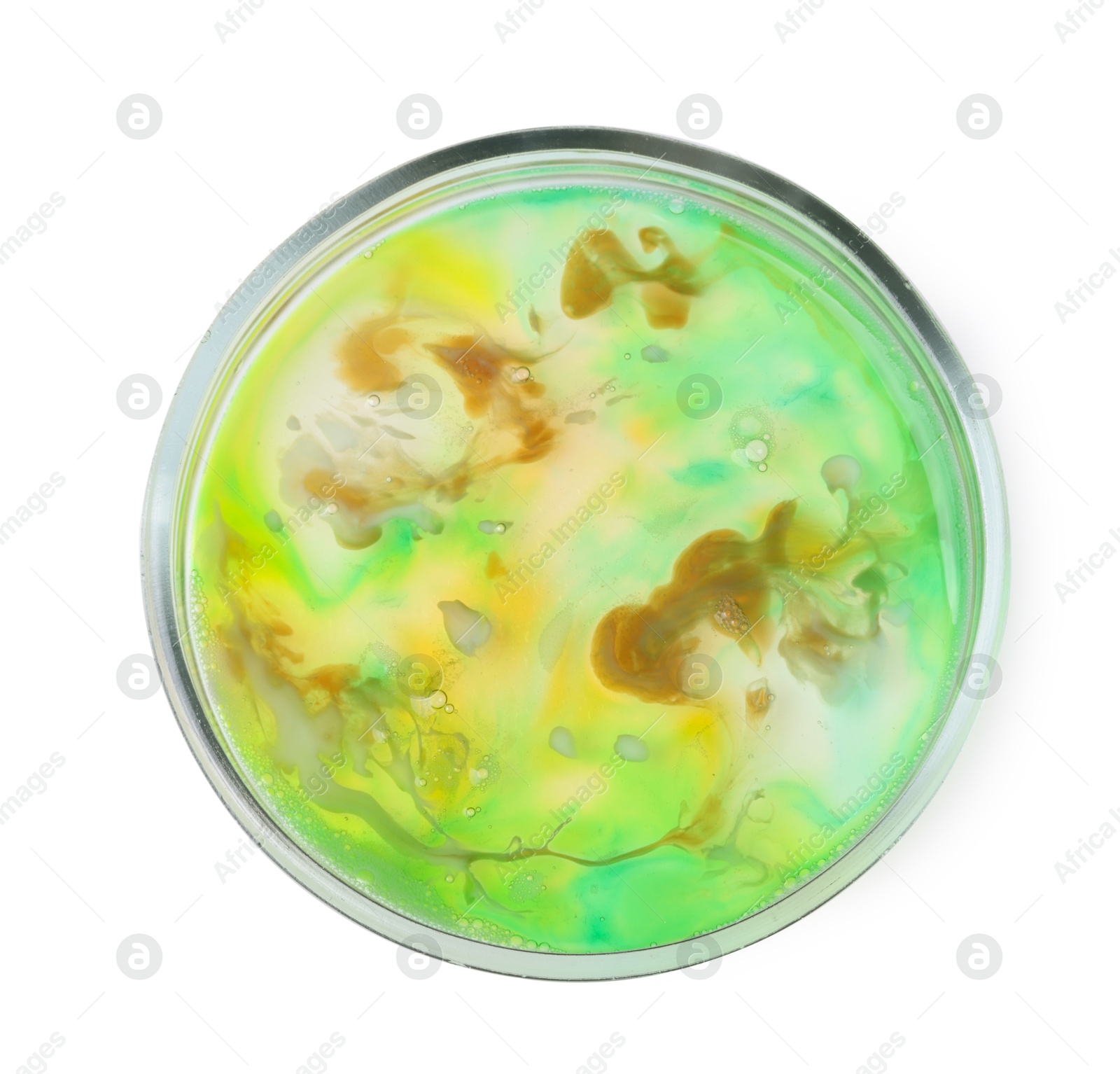 Photo of Petri dish with bacteria isolated on white, top view