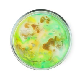 Photo of Petri dish with bacteria isolated on white, top view