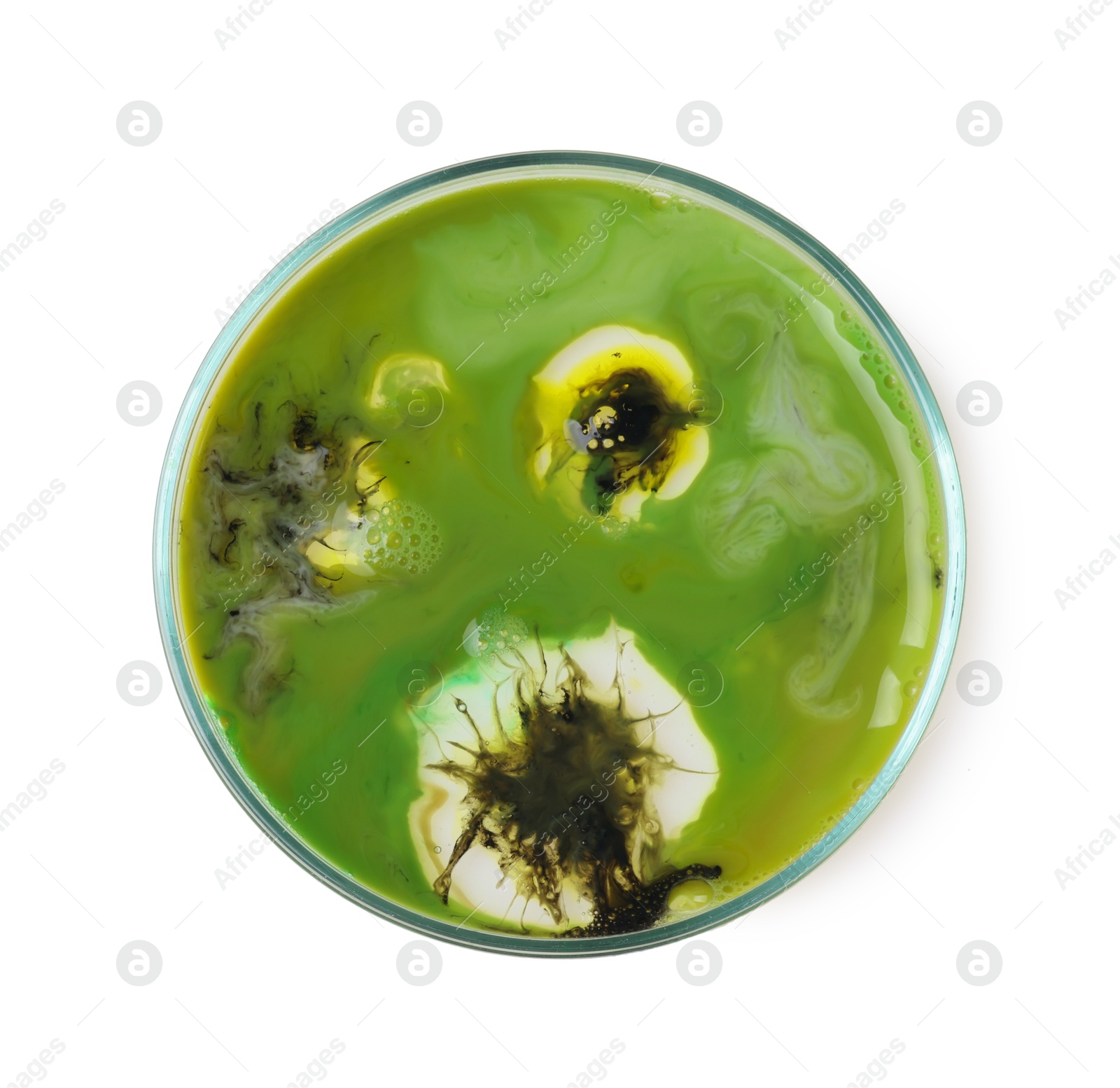 Photo of Petri dish with bacteria isolated on white, top view