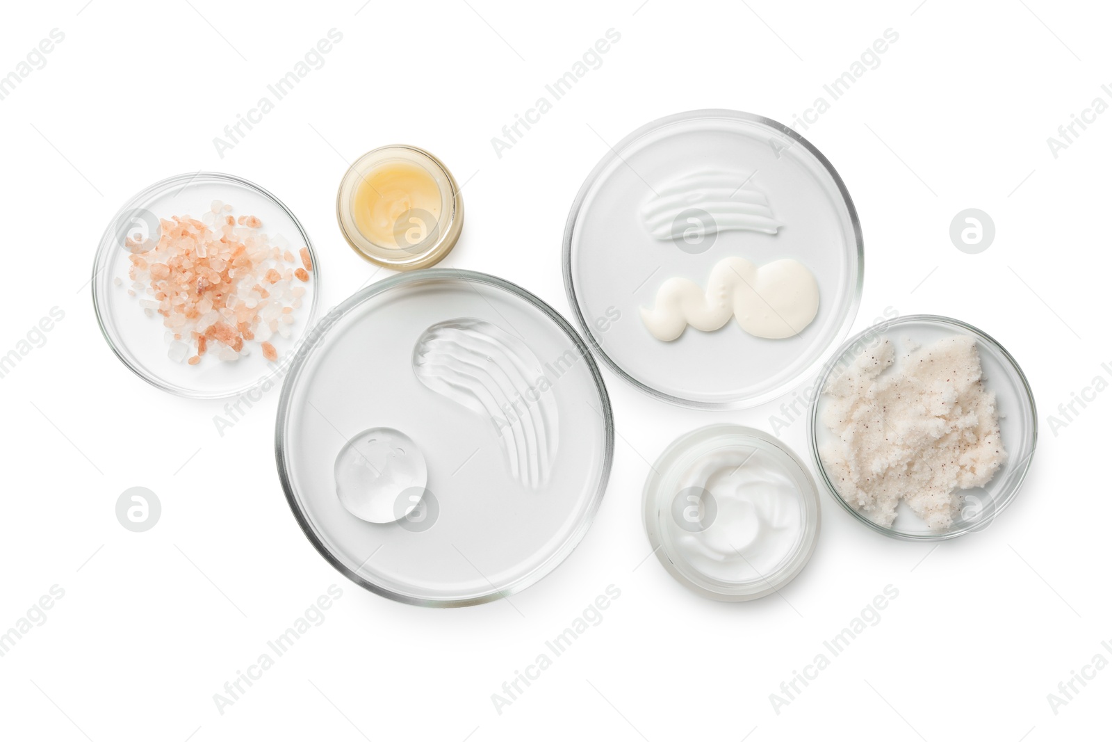 Photo of Petri dishes with different cosmetic products isolated on white, flat lay