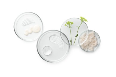 Petri dishes with different cosmetic products and leaves isolated on white, flat lay