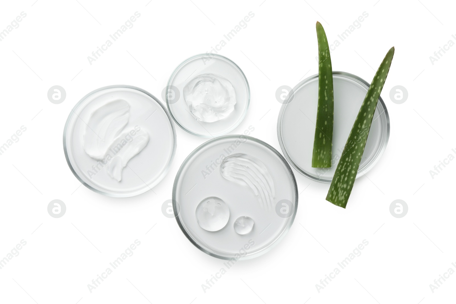 Photo of Petri dishes with different cosmetic products and aloe vera leaves isolated on white, flat lay