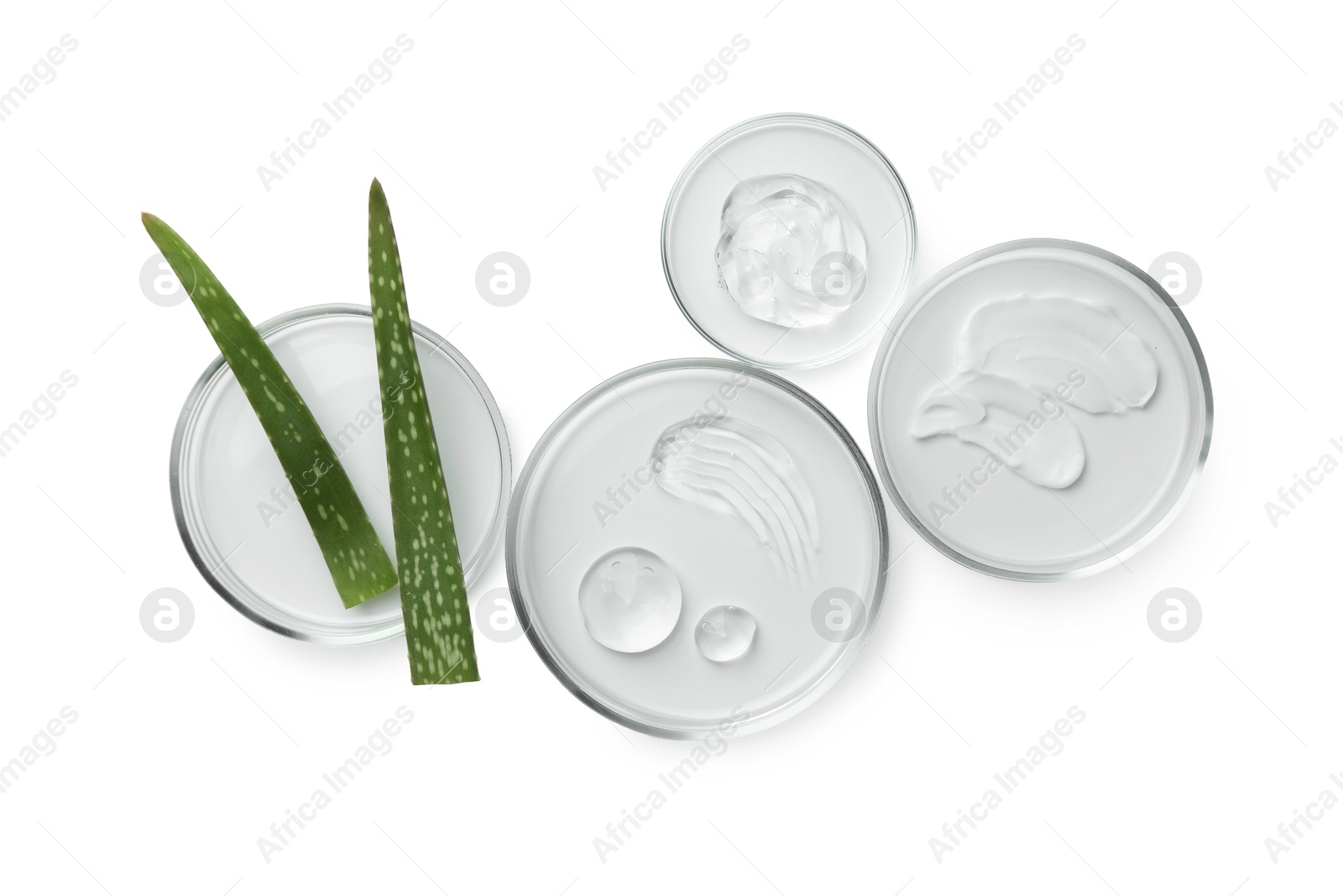 Photo of Petri dishes with different cosmetic products and aloe vera leaves isolated on white, flat lay