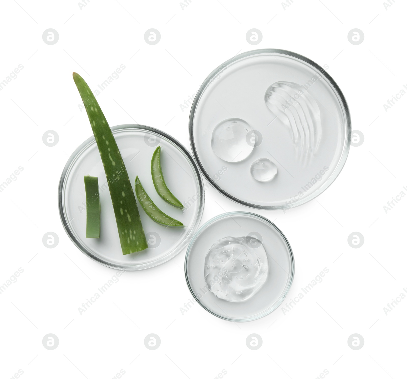 Photo of Petri dishes with different cosmetic products and aloe vera leaves isolated on white, flat lay