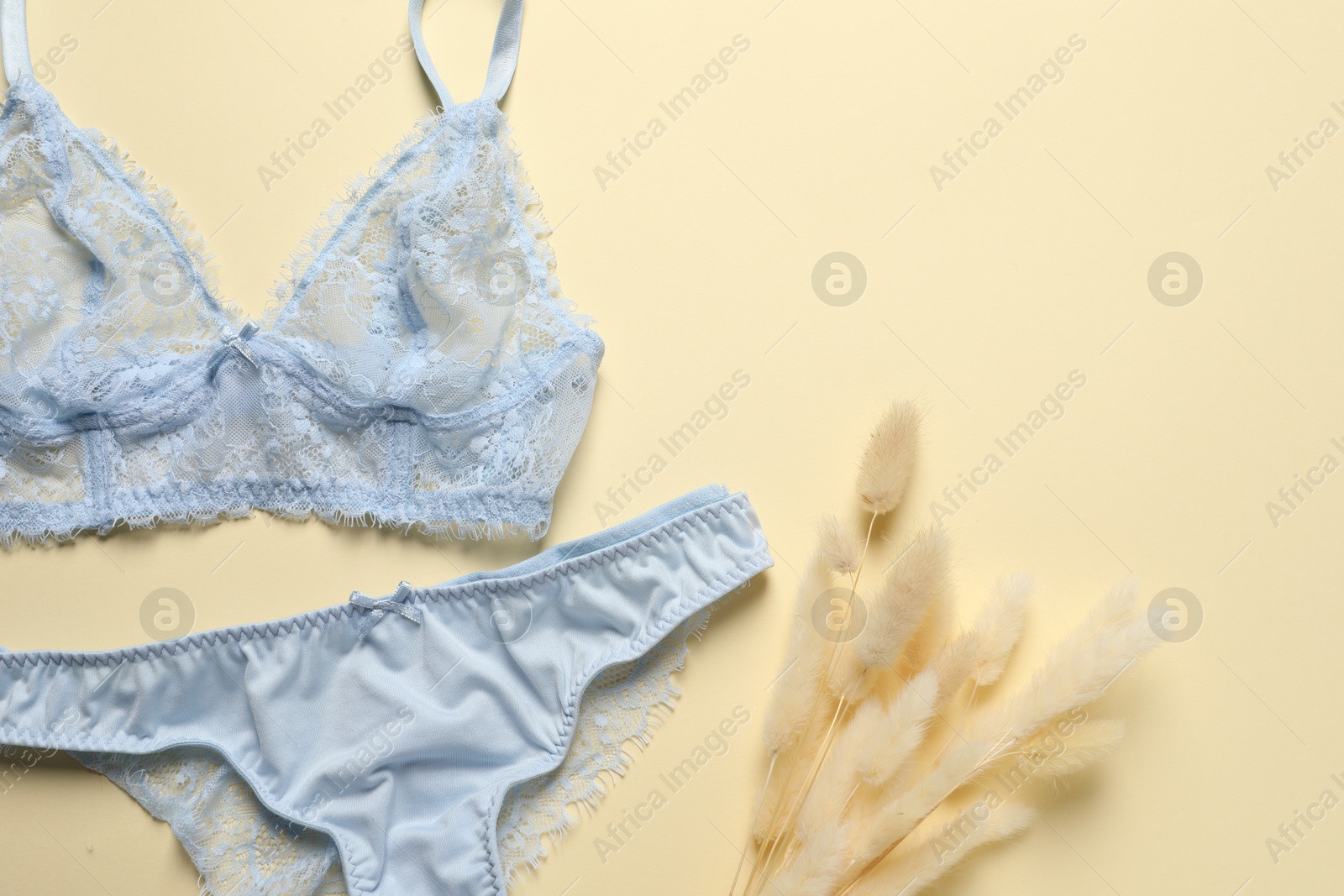 Photo of Elegant light blue lace women's underwear and dry spikes on beige background, top view