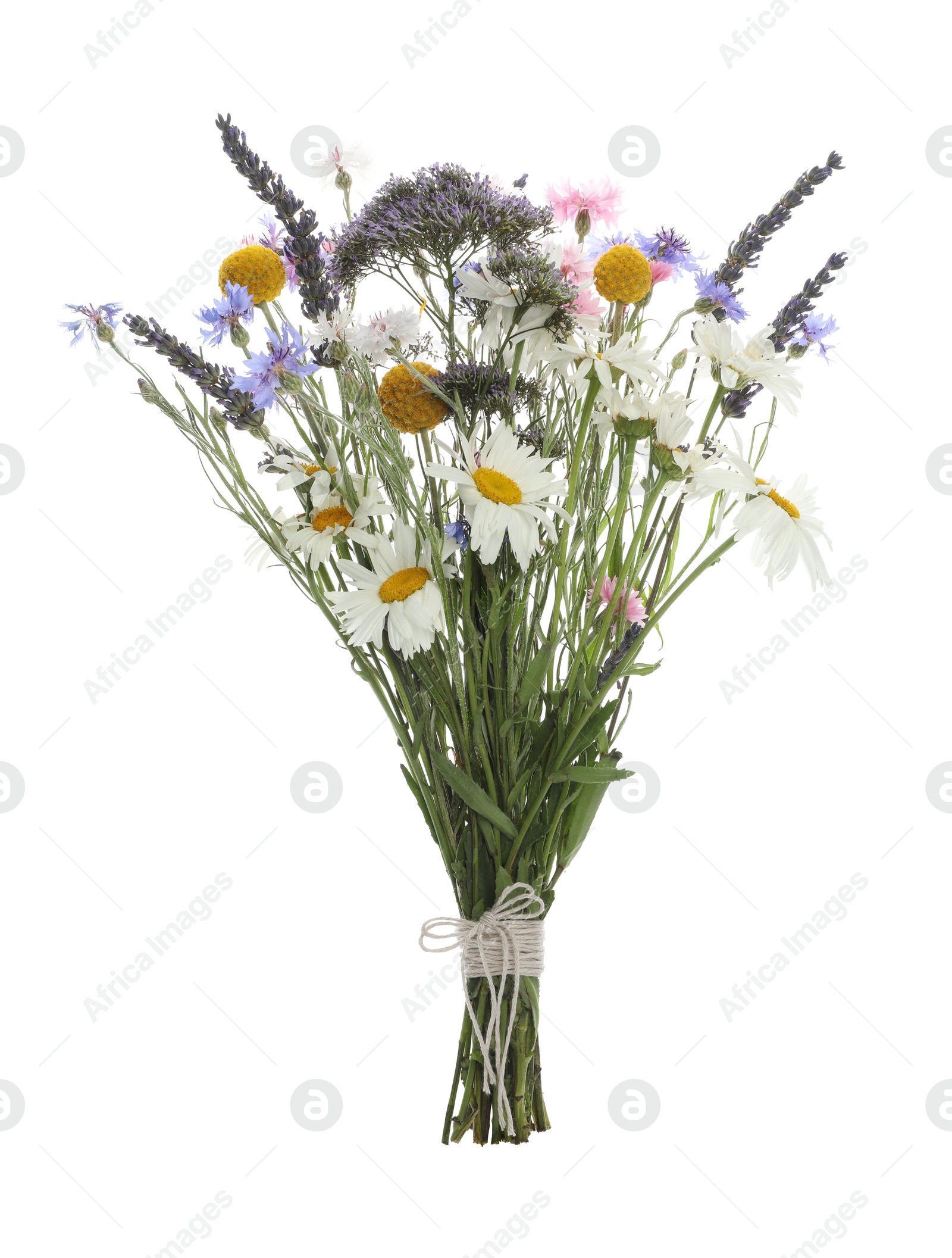 Photo of Bouquet of beautiful wildflowers isolated on white