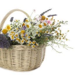 Photo of Beautiful wildflowers in wicker basket isolated on white