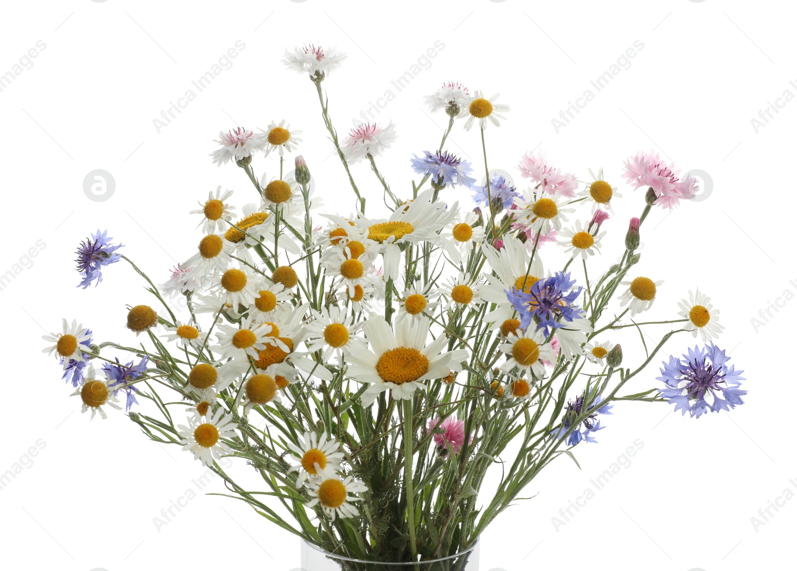 Photo of Bouquet of beautiful wildflowers isolated on white