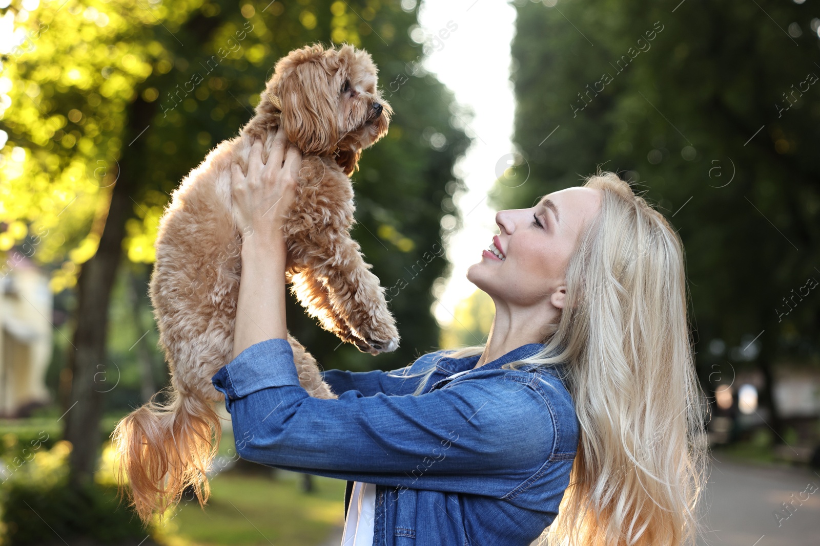 Photo of Beautiful young woman with cute dog in park