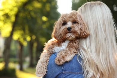 Photo of Woman with cute dog in park, back view. Space for text