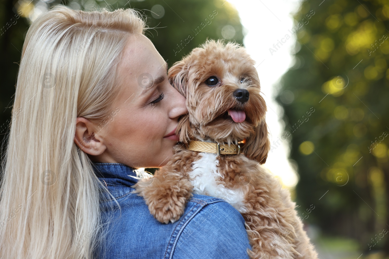 Photo of Beautiful young woman with cute dog in park