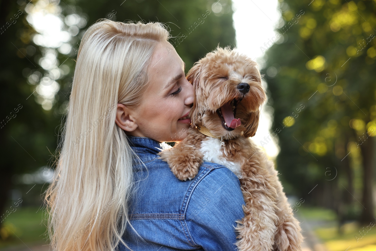 Photo of Beautiful young woman with cute dog in park