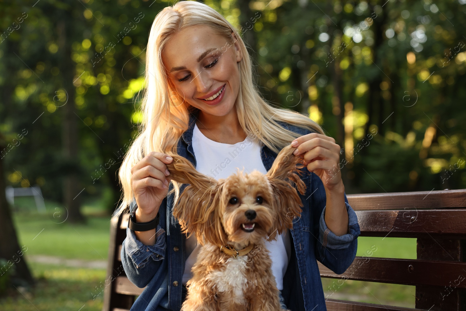 Photo of Beautiful young woman with cute dog on bench in park